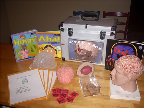 Brain-in-a-box