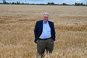 Brad Gibbens standing in a wheat field